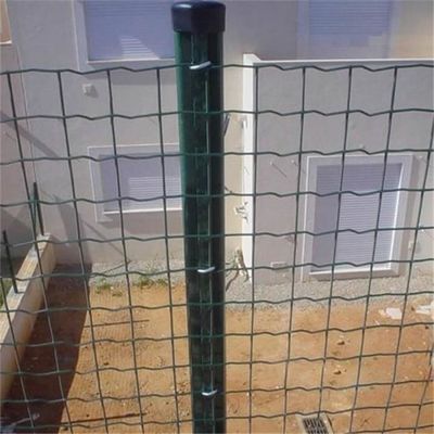 Recinzione in acciaio galvanizzata in PVC rivestita Euro Style Holland Recinzione a maglia per giardini Parchi