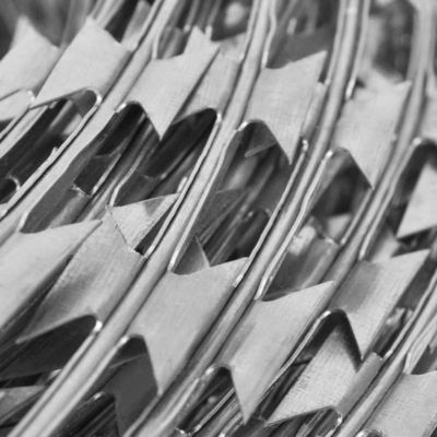 Recinzione anti-scalato filo spinato 2.5mm resistenza alla corrosione