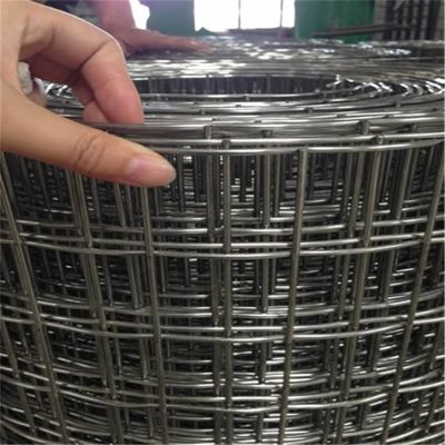 Rust Proof Galvanizzato 50*50mm Saldato Fence Wire Mesh 1/4 Inch Hole Square Steel Weld Mesh da produttore Prezzi all'ingrosso