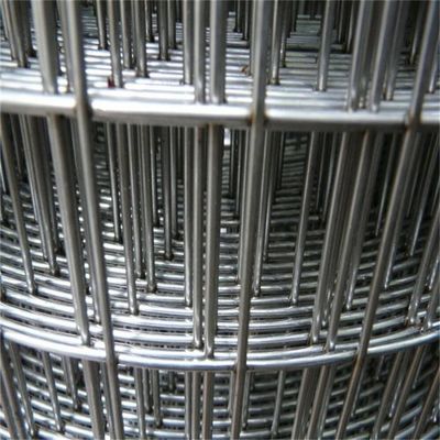 Disponibile 4ftx50ft Galvanizzato Saldato Wire Mesh Pollo Bird Cage Wire Mesh