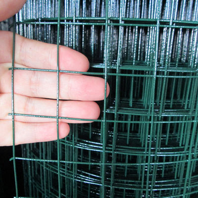 Griglia di rete galvanizzata a rotoli saldati a basso tenore di carbonio