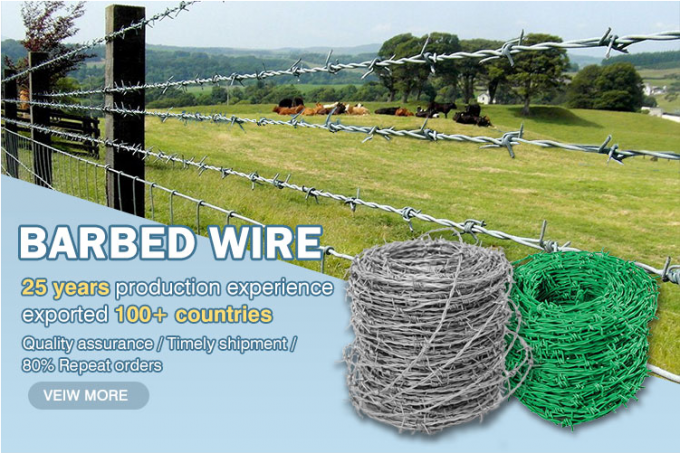 Anti ruggine galvanizzante Barbed Razor Wire Fencing Mesh 450mm di diametro 0