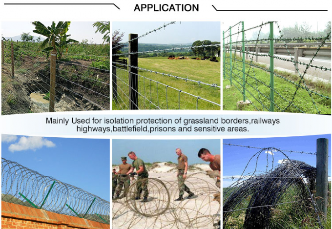 Anti ruggine galvanizzante Barbed Razor Wire Fencing Mesh 450mm di diametro 14