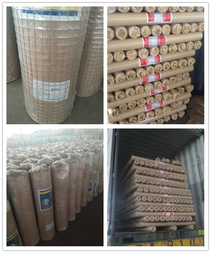 1/2x1 1x1 Galvanizzato a caldo Ferro saldatura Filtro saldatura Rulli di maglia di tessuto/ 16 calibro Elettro galvanizzato quadrato buco maglia saldata 9