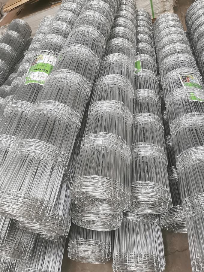 0.8m a 2.4m Recinzione a maglia di filo tessuto Recinzione galvanizzata Stock Recinzione trattamento termico 1