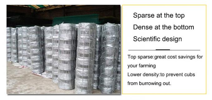 Facile da assemblare Grassland Farm Wire Mesh Fence Eco Friendly 10-200m 2