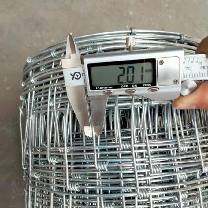 Facile da assemblare Grassland Farm Wire Mesh Fence Eco Friendly 10-200m 4
