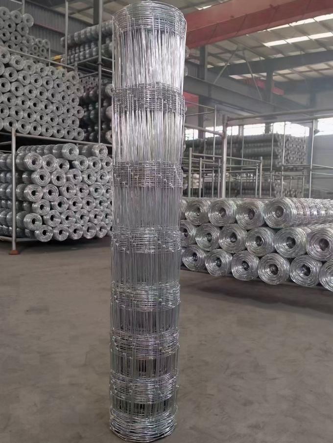 Facile da assemblare Grassland Farm Wire Mesh Fence Eco Friendly 10-200m 6