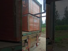 pannelli di rete di filo di PVC saldato